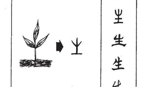 香连化滞丸的功效和作用及禁忌-香连化滞丸的功效网-分享香连化滞丸功效与主治与联合用药，香连化滞丸的功效和作用知识库