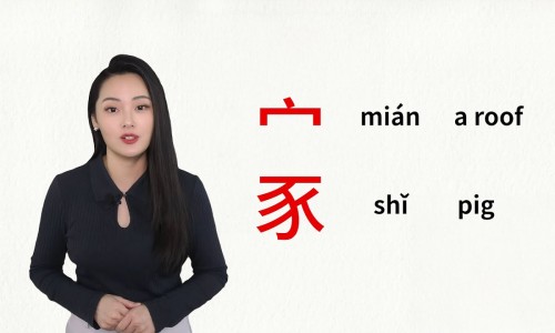 香连化滞丸的功效网-分享香连化滞丸功效与主治与联合用药，香连化滞丸的功效和作用知识库